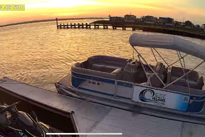 Chincoteague Wildlife Sunset Boat Tour — Wild Ponies, Dolphins & Birdlife photo 3