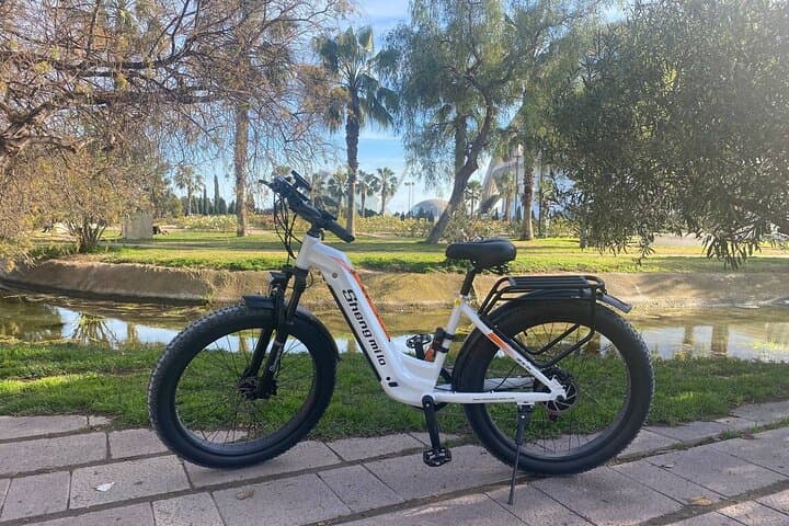 Coastal Bike Escape: Valencia to Albufera Wetlands & Beaches photo 2