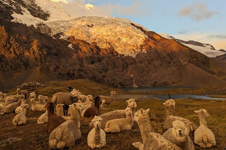 4-Day Ausangate Trek & Rainbow Mountain: High-Altitude Multi-Day Trek from Cusco photo 6