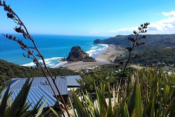 Private Auckland Sightseeing - Custom Full- and Half-Day Hidden Gems Tour