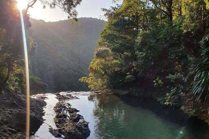 Private Auckland Sightseeing - Custom Full- and Half-Day Hidden Gems Tour photo 5
