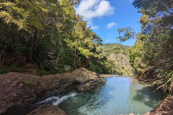 Private Auckland Sightseeing - Custom Full- and Half-Day Hidden Gems Tour photo 2