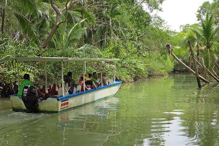 Damas Island Mangrove Boat Tour — Quepos Sunset Wildlife Cruise photo 1