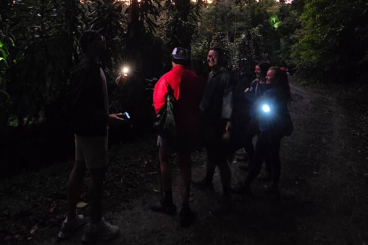 Monteverde Night Forest Walk: See Nocturnal Wildlife on a Guided Night Tour photo 4