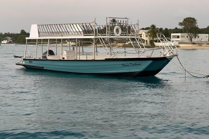 Glass-Bottom Boat Snorkel: Swim with Hawksbill Turtles & Explore Barbados Shipwrecks photo 2