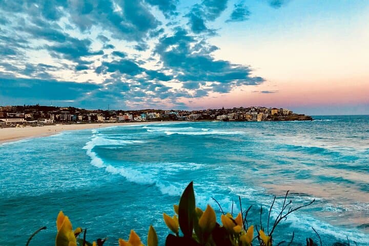 Sydney Coastal Highlights Half-Day Tour — Bondi, Mrs Macquarie's Chair & The Gap photo 5