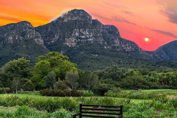 Fynbos & Wine: Kirstenbosch to Constantia Valley Walking Experience
