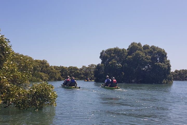 Moreton Bay Guided Kayak Adventure: Paddle Mangroves, Reefs & Island Escapes photo 1