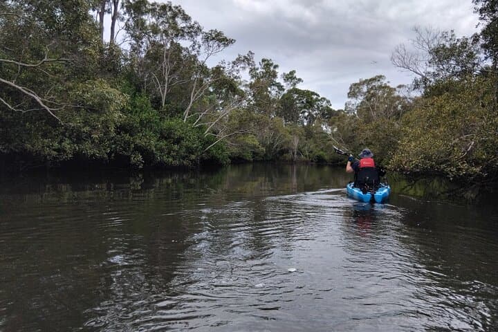 Moreton Bay Guided Kayak Adventure: Paddle Mangroves, Reefs & Island Escapes photo 3