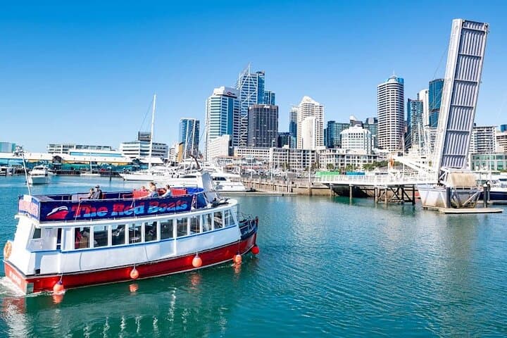 Auckland Harbour Wine and Cheese Cruise — Scenic Red Boats Experience