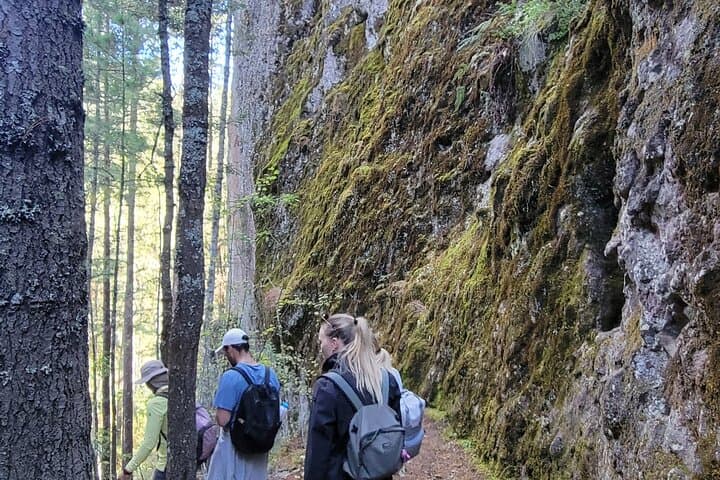 Cuajimoloyas Private Hiking: Sierra Norte Forest, Suspension Bridge & Local Cuisine photo 3