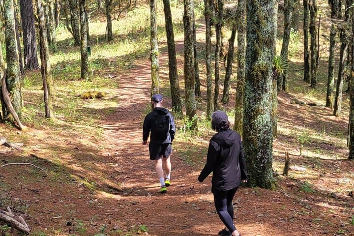 Cuajimoloyas Private Hiking: Sierra Norte Forest, Suspension Bridge & Local Cuisine photo 5