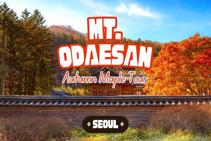 Odaesan National Park Autumn Foliage Tour — Visit the Goblin (Dokkaebi) Film Site and Woljeongsa Temple