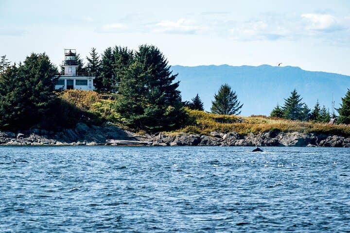 Exploring Ketchikan’s Ward Cove: Lighthouse, Totems, and Eagles Adventure photo 3