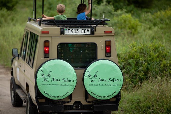 3-Day Serengeti and Ngorongoro Safari from Arusha — Group Camping Game Drives photo 1