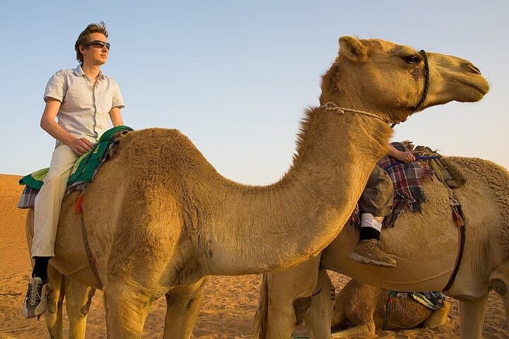 Morning Camel Trek & Sandboarding in Dubai’s Red Dunes — Sunrise Safari with Falcon Photos photo 5
