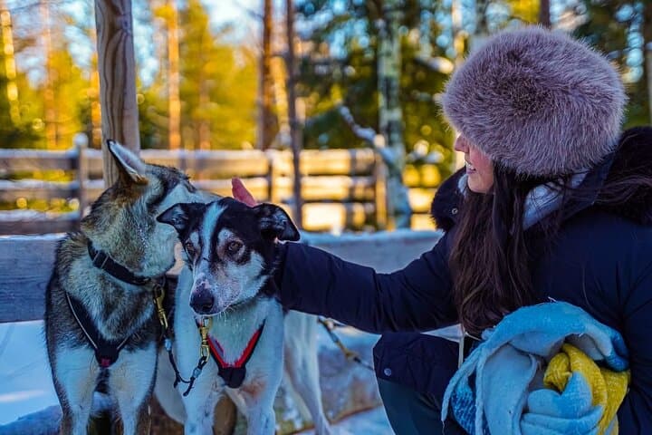 Arctic Huskies & Reindeer Farm Visit in Rovaniemi — Morning Sleigh Rides and Local Stories photo 6