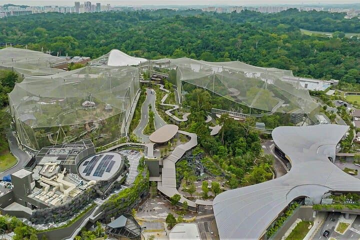 Mandai Bird Park Singapore: Bird Paradise Admission & Visitor Guide