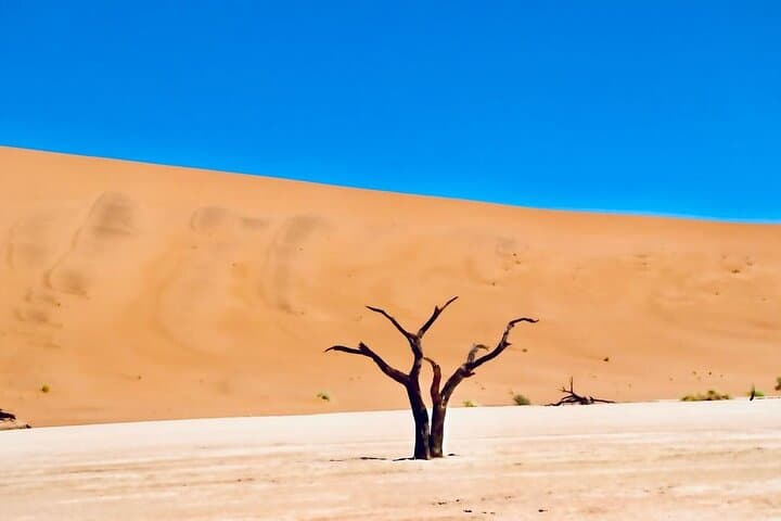Private Sossusvlei 2-Day Tour — Sunrise Dunes, Dead Vlei & Sesriem Canyon photo 2