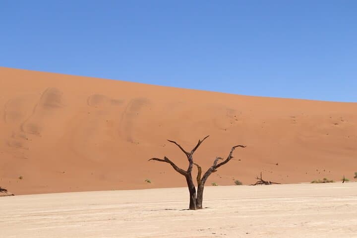 Private Sossusvlei 2-Day Tour — Sunrise Dunes, Dead Vlei & Sesriem Canyon photo 4