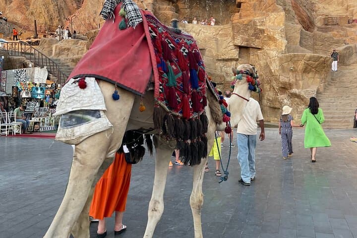 Sharm City Private Car Tour: Cathedral, Sahaba Mosque & Old Market Experience photo 3