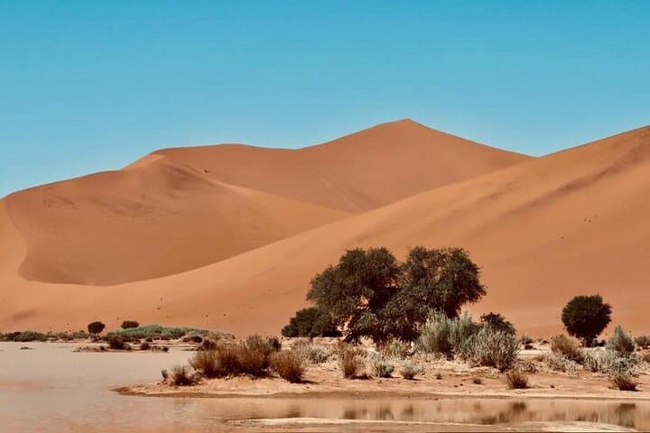 Private Sossusvlei 2-Day Tour — Sunrise Dunes, Dead Vlei & Sesriem Canyon photo 5