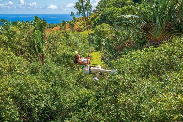 Mauritius Sky Pulse: 1.5km Signature Zipline & 7-Line Adventure at La Vallée des Couleurs photo 4