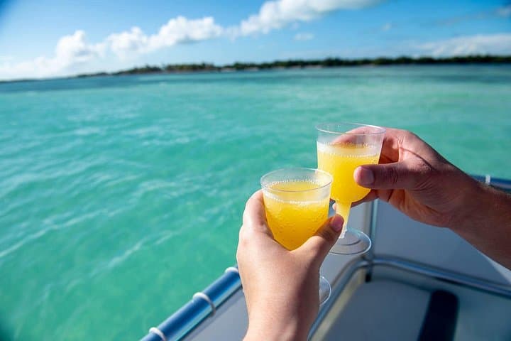 Morning Mimosa & Swim: 2-Hour Luxury Catamaran Cruise in Marathon, FL photo 1