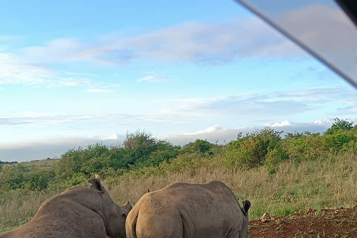 Nairobi National Park Safari and Carnivore Restaurant Experience: Game Drive and Meat Feast Near Nairobi photo 4