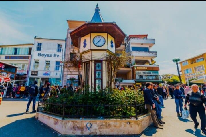 Princes Islands Day Escape: Büyükada by Bus and Ferry photo 2