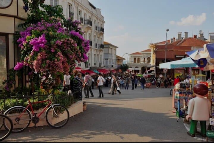 Princes Islands Day Escape: Büyükada by Bus and Ferry photo 4