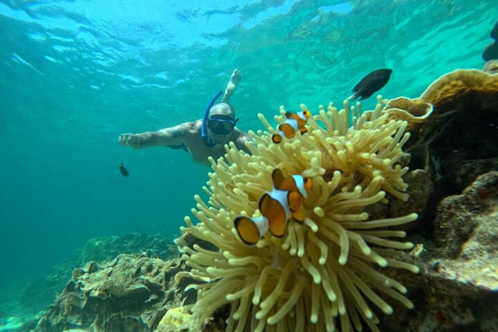 Low-Season Ko Lipe 6-Island Snorkel Tour: Best June–Oct Spots & Tips photo 3