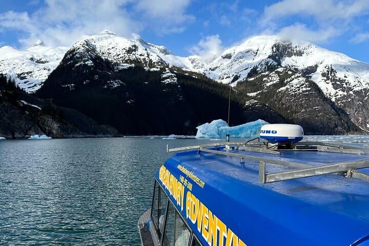 LeConte Glacier Cruise and Petersburg Norwegian Town Exploration photo 3