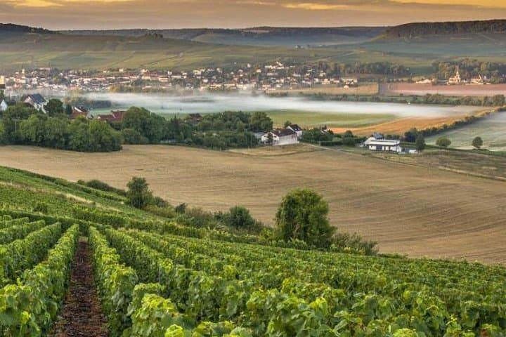 Private Champagne Day Trip from Paris: Épernay, Hautvillers & Reims in a VIP Van photo 2
