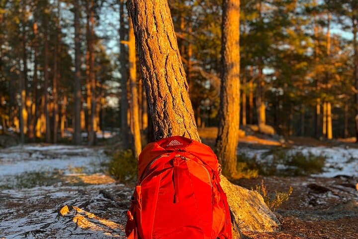 Oslo Panoramic Fjord Hike — Guided Forest Walk with Local Guide and Dog photo 4