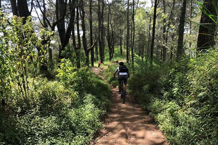 Mount Batur 2-Day Hike & Bike: Sunrise Summit and Rim Rides from Ubud photo 1