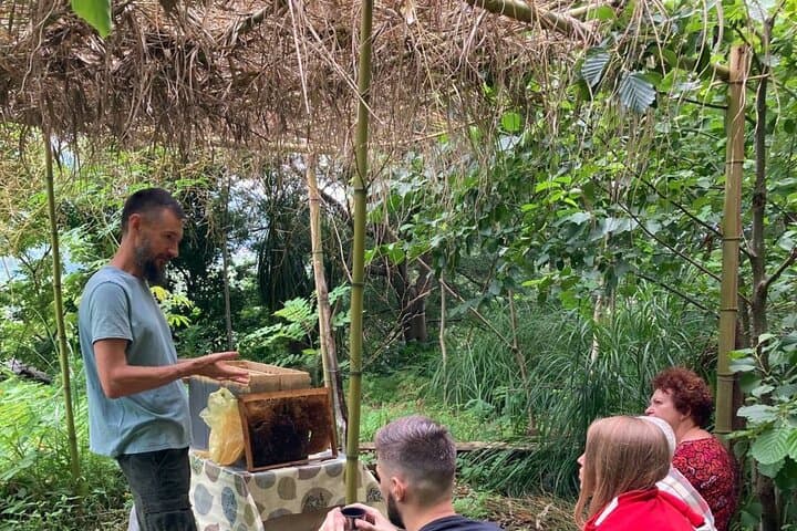Honey Story and Mtirala Forest Day Tour from Batumi — Beekeeping, Tasting & Rainforest Walk photo 1
