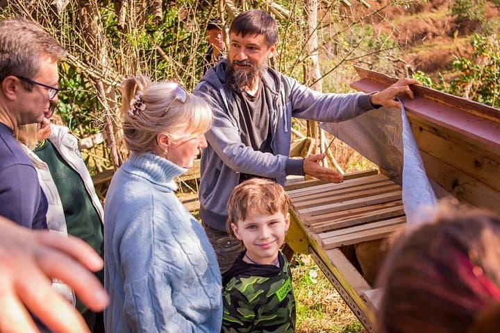 Honey Story and Mtirala Forest Day Tour from Batumi — Beekeeping, Tasting & Rainforest Walk photo 2