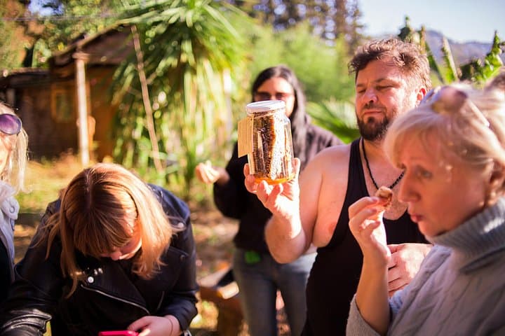Honey Story and Mtirala Forest Day Tour from Batumi — Beekeeping, Tasting & Rainforest Walk photo 4