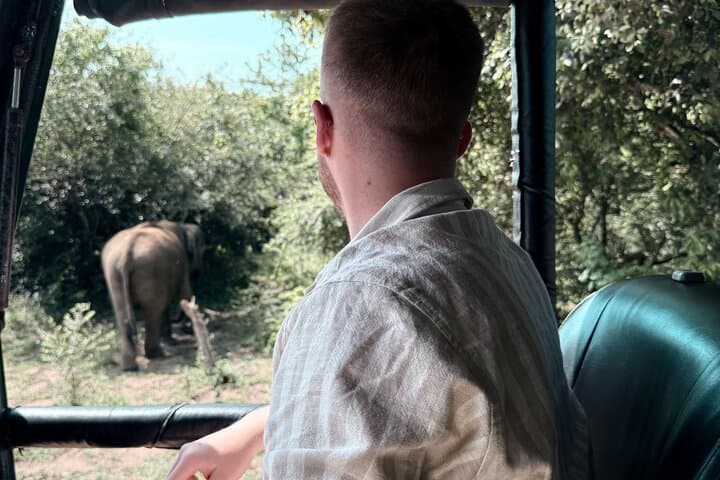 Full-Day Yala National Park Safari: Leopard, Elephant & Sloth Bear Wildlife Experience photo 2