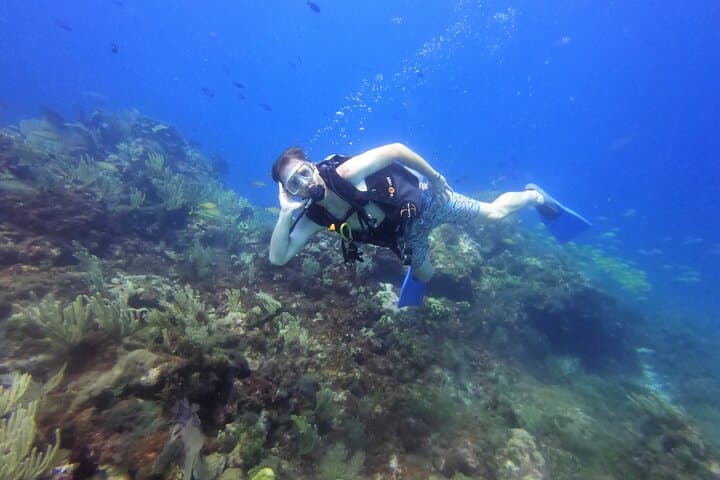 Two Deep Reef Scuba Dives off Punta Cancun — San Toribio & La Herradura photo 2