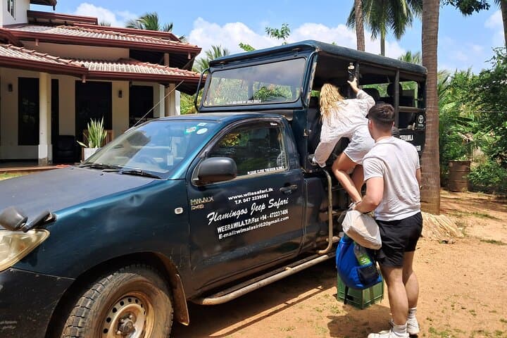 Full-Day Yala National Park Safari: Leopard, Elephant & Sloth Bear Wildlife Experience photo 4