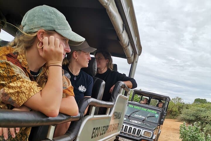 Full-Day Yala National Park Safari: Leopard, Elephant & Sloth Bear Wildlife Experience photo 6