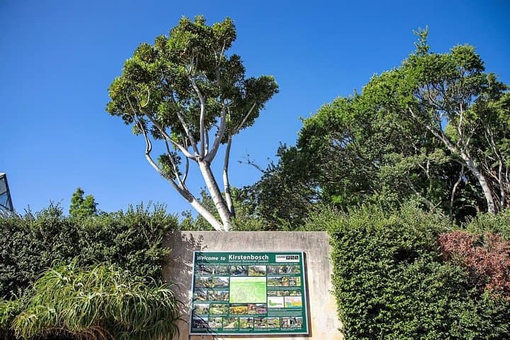 Table Mountain, Kirstenbosch & Constantia Wine Valley Day Tour from Cape Town photo 6