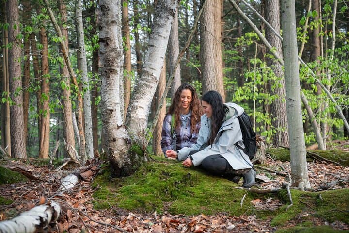 Mindful Forest Escape in Vermont — 2-Hour Guided Forest Immersion