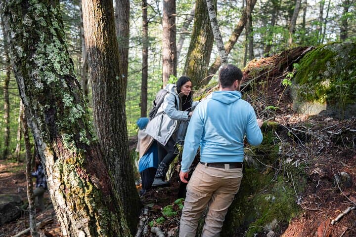 Mindful Forest Escape in Vermont — 2-Hour Guided Forest Immersion photo 2