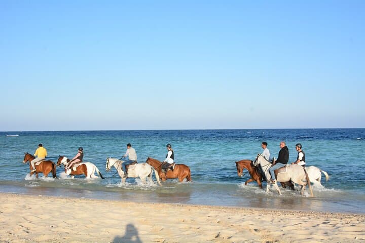 Horseback Riding in Marsa Alam and Port Ghalib Marina Shopping photo 4