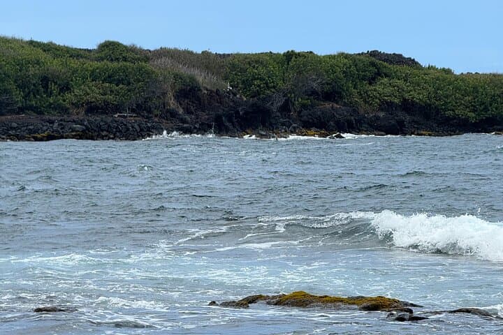 Exploring Hawaii’s Volcanic Heart: Hilo Excursion to Volcanoes, Akaka Falls & Black Sand Beach photo 2