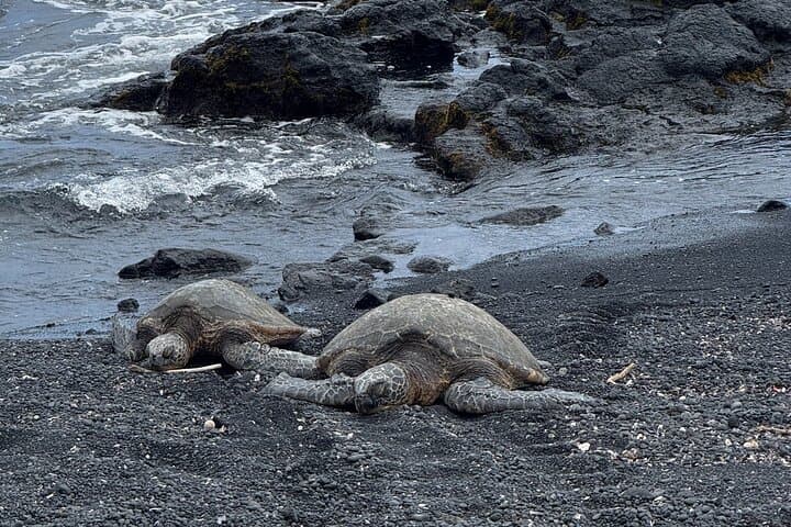 Exploring Hawaii’s Volcanic Heart: Hilo Excursion to Volcanoes, Akaka Falls & Black Sand Beach photo 3