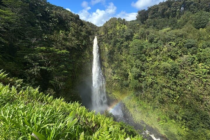 Exploring Hawaii’s Volcanic Heart: Hilo Excursion to Volcanoes, Akaka Falls & Black Sand Beach photo 4